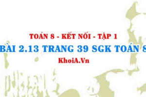 Bài 2.13 trang 39 SGK Toán 8 tập 1 Kết nối tri thức
